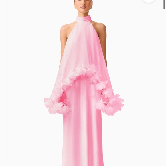 Elliatt Dresses & Skirts - Elliatt Poppy Cape Gown in Pink